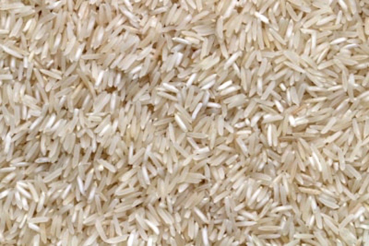 Rice exports from Pakistan